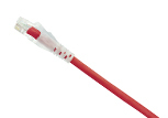 Cat 6 UTP Patch Cable