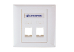 UK Style faceplate