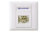 2-Port ST Fiber Faceplate