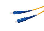 single mode SC-SC patch cord( duplex)
