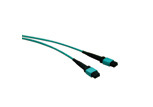 MPO TRUNK CABLE