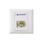 Fiber Faceplate